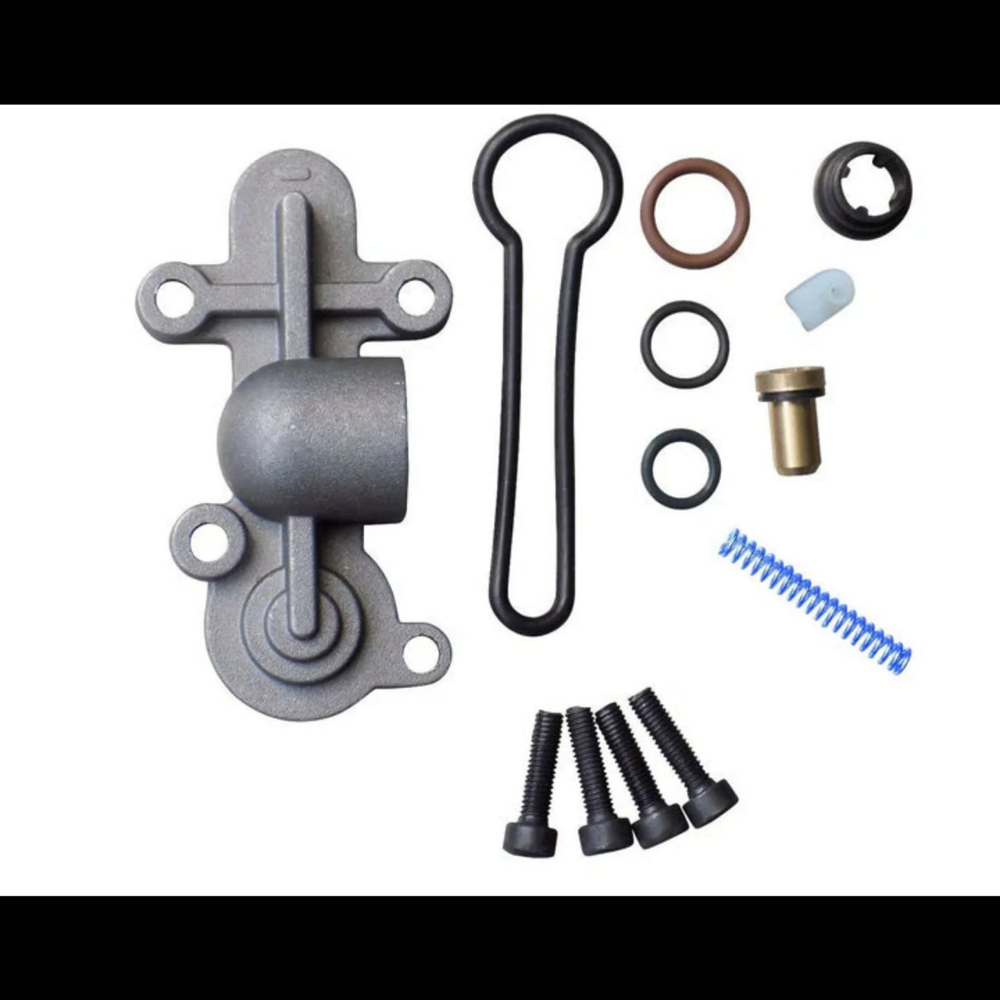 6.0 Powerstroke Fuel Pressure Regulator Blue Spring Kit for 2003-2007 Ford PowerStroke F250 F350 F450 F550 6.0L Engine